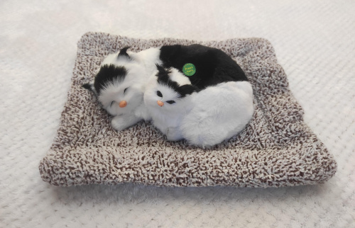 "Кошка с котенком" во Нязепетровске фото 2